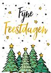 Fijne feestdagen en een gezond en visrijk 2024!